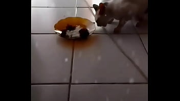 Gadis Panggilan Anita Yang Menggoda