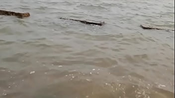 Sensasi Panas Dari Kelinci Shenyang Yang Menggoda
