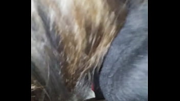 Gadis Asia Bertubuh Montok Dan Menggoda