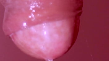 Adik Tiriku Yang Nakal Menguras Cairanku, Adegan Panas Tanpa Sensor