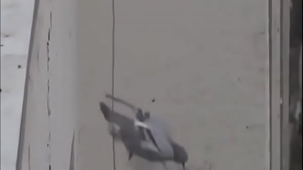 Rola Tancap Gas Di Instagram Live: Aksi Panas Yang Bikin Goyang!