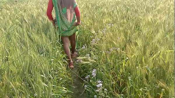 Desi Bhabhi Digoda Di Ladang, Ngentot Di Luar Rumah