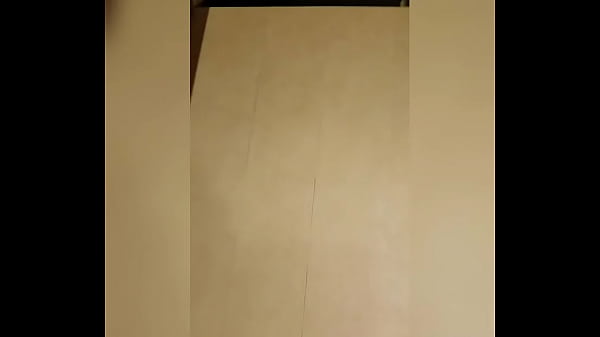 Mengunjungi Pelacur Kesayanganku Di Tiongkok