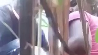 Wanita Desa Digebuk Di Kebun Tebu Sama Suaminya, Makin Kenceng Makin Basah.